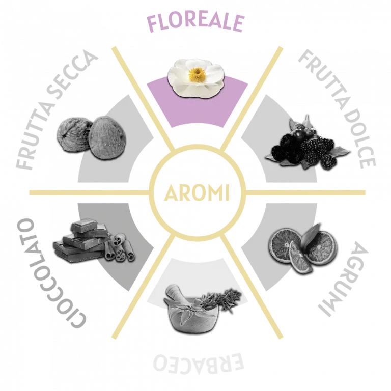Capsule Caffè Segni d'Arte Oro Vivo