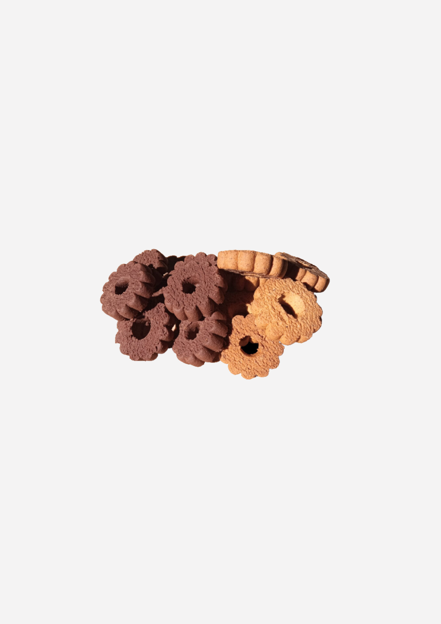 FUCIBO - BISCOTTI CON FARINA DI INSETTI - 95 GRAMMI