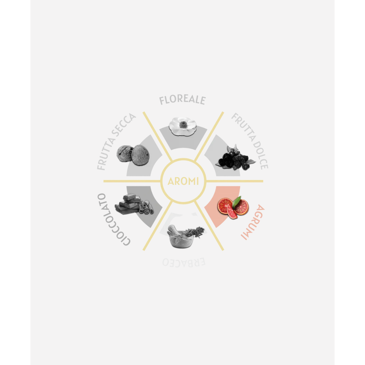 Cialde Caffè Toscano Decaffeinato Blue Quality 50 cialde