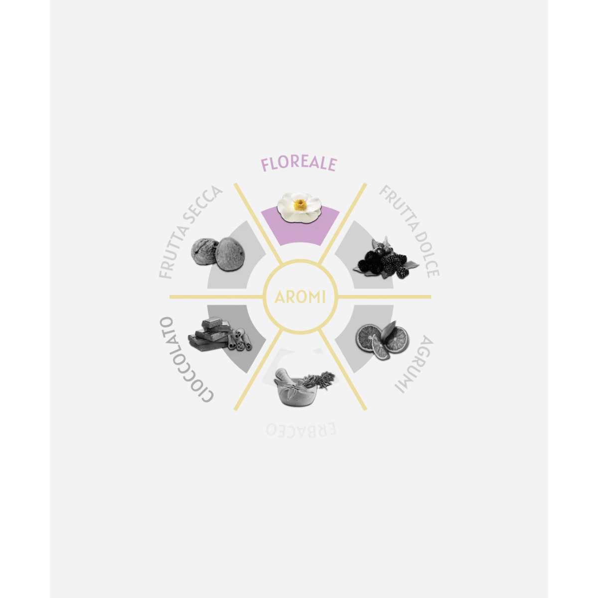 Caffè Toscano Gold Quality Compatibili Nespresso®* 50 capsule