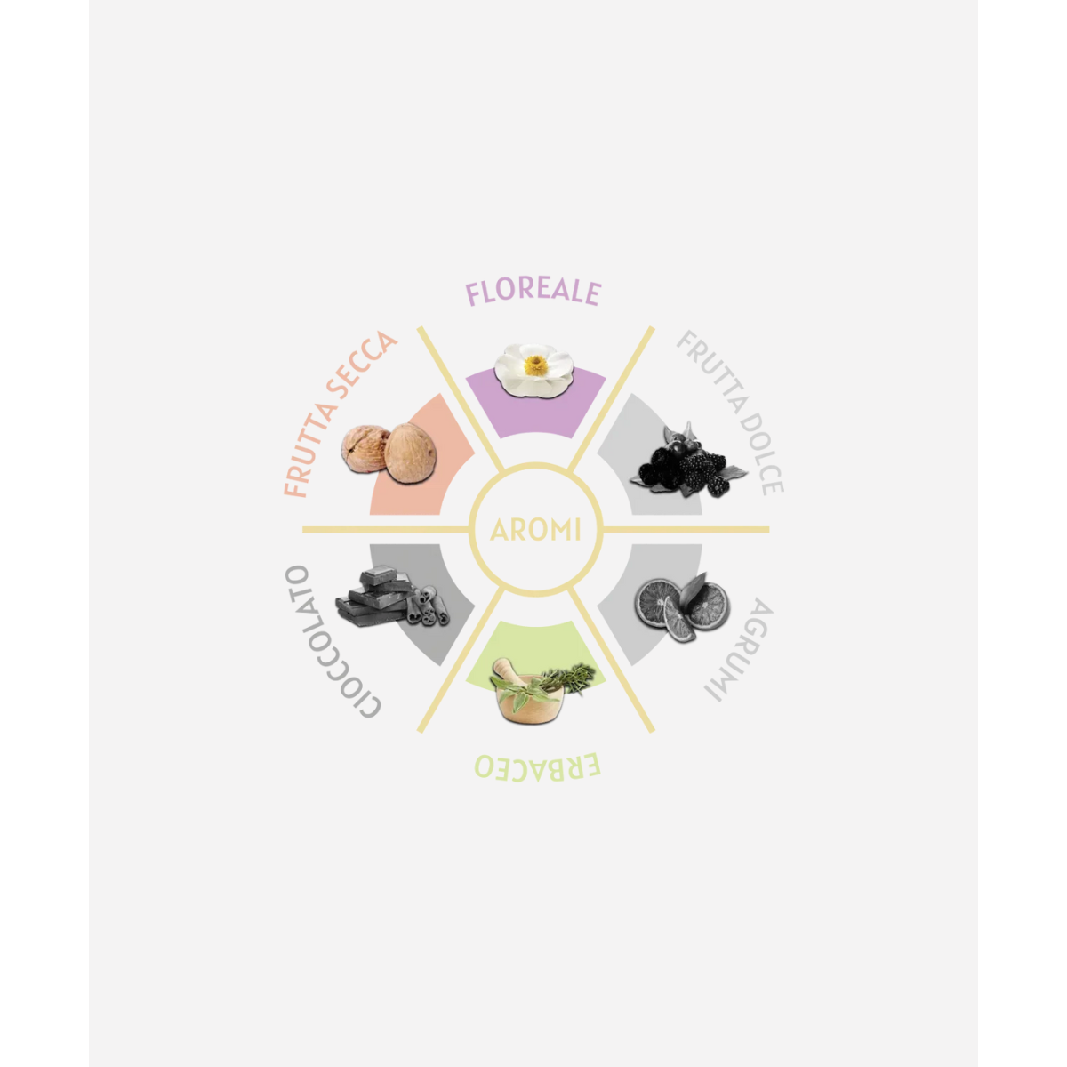 Cialde Caffè Toscano Black Quality 50 cialde