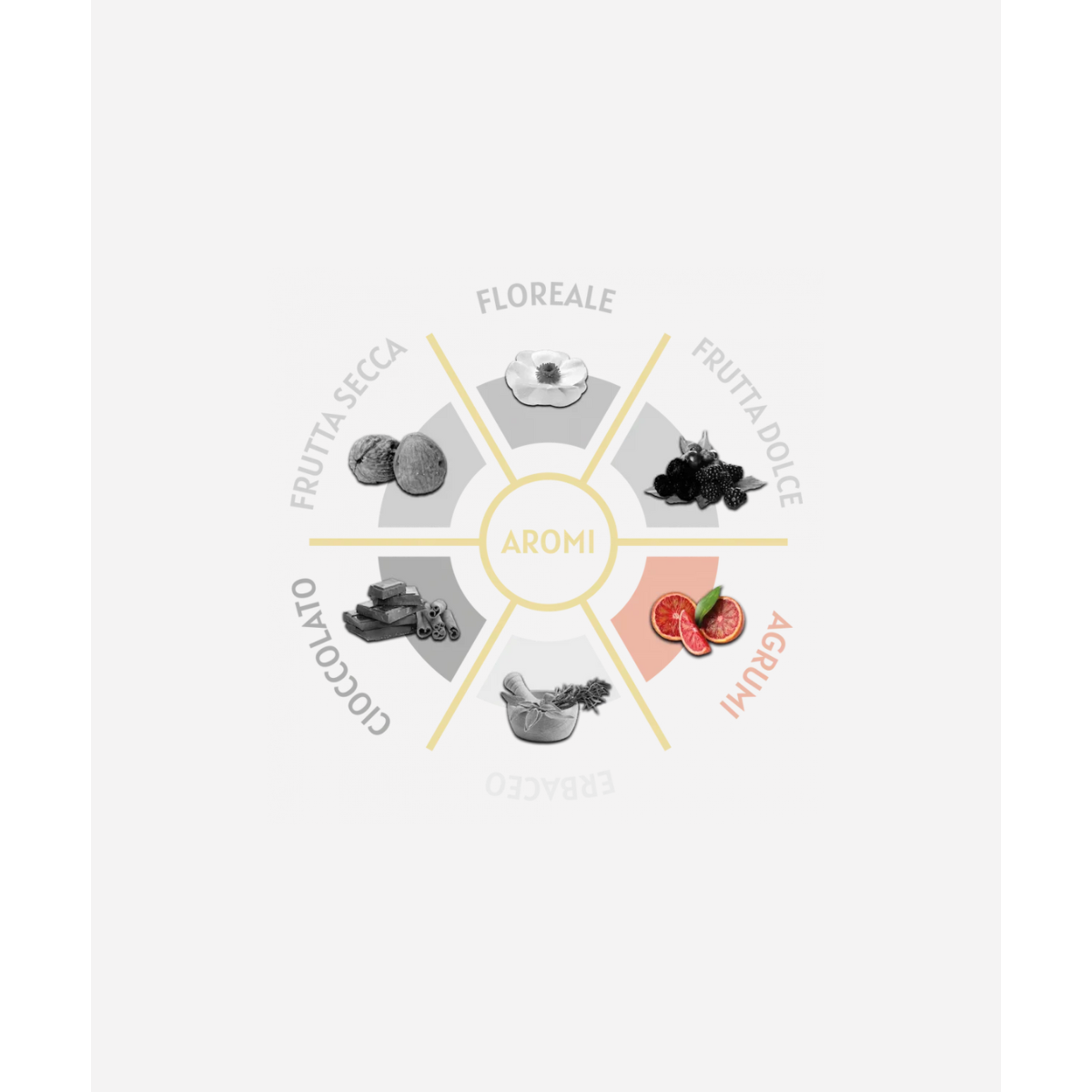 Caffè Toscano Compatibili Espresso Point* decaffeinato Blue Quality 50 capsule