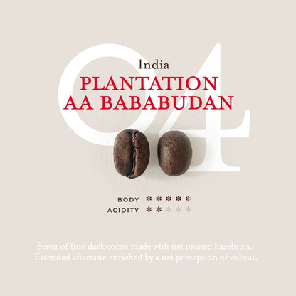 Monorigine | India Plantation Bababudan | 250 gr