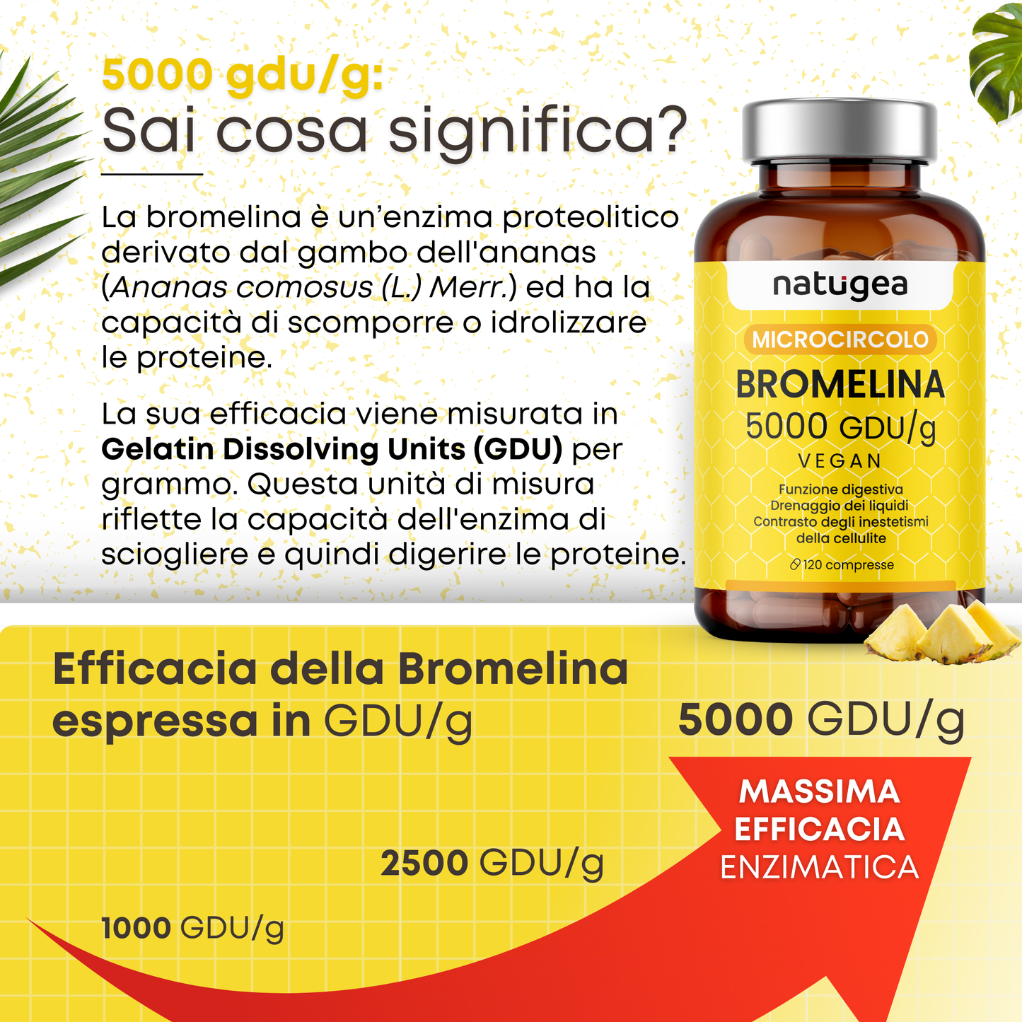Bromelina forte 5000 GDU/g reali