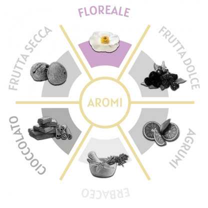Capsule Caffè Segni d'Arte Oro Vivo