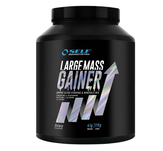 Self Omninutrition - Large Mass Gainer - 2 Kg