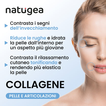 Collagene Marino Idrolizzato Peptan F HD