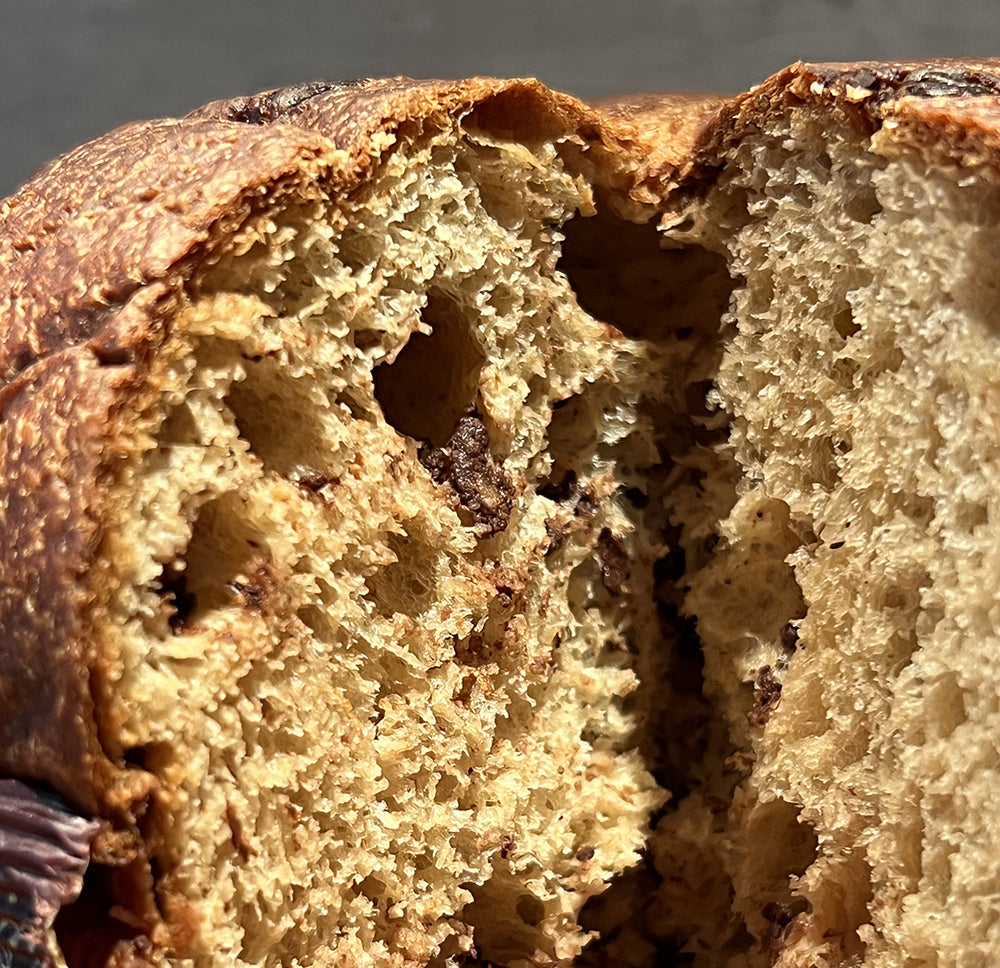 PREORDINA Panettone Artigianale Keto Low Carb - 500 gr con Gocce di Cioccolato (CONSEGNA DOPO 15 NOVEMBRE)
