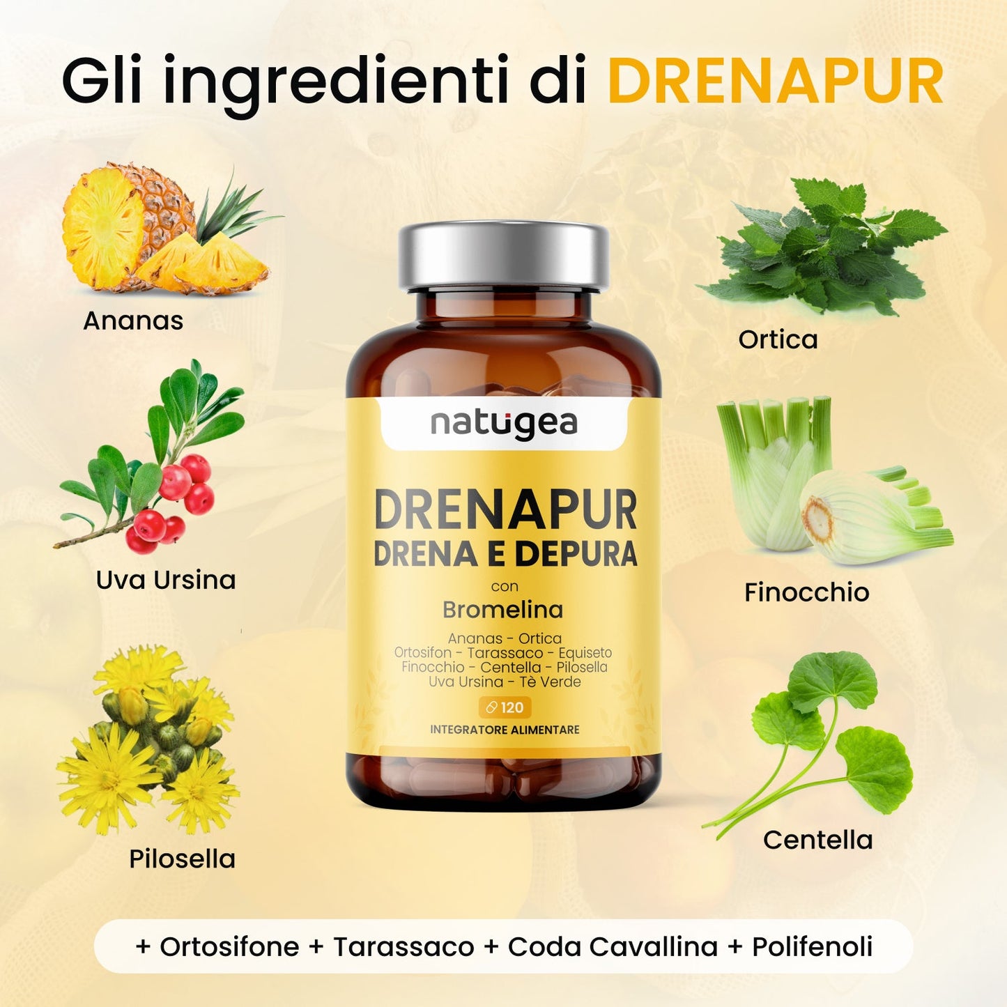 Drenante DRENAPUR® con 11 attivi