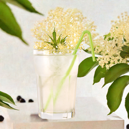 Sambuco classico