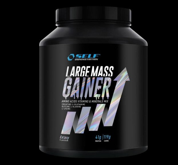 Self Omninutrition - Large Mass Gainer - 2 Kg