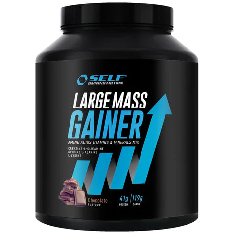 Self Omninutrition Large Mass Gainer 2 Kg